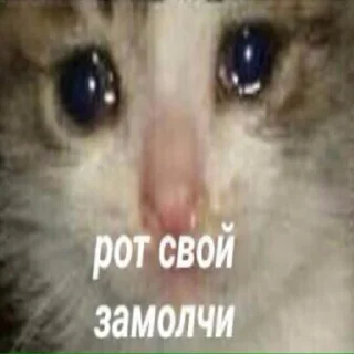 Sticker буйные - 6