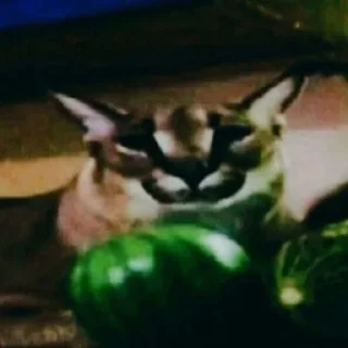 Sticker руская тоска - 11