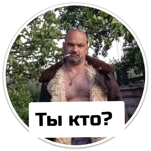 Чат приюта - 