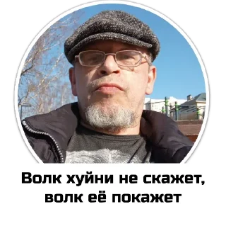 Sticker Чат приюта - 8