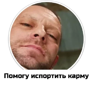 Sticker Чат приюта - 4