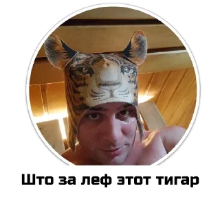 Sticker Чат приюта - 6