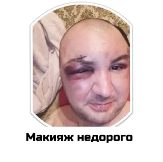 Sticker Чат приюта - 10