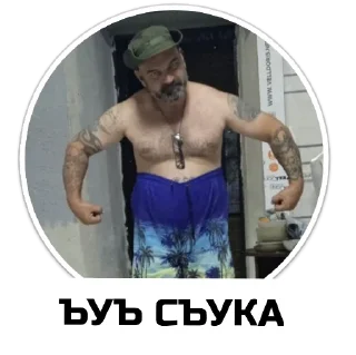 Sticker Чат приюта - 5
