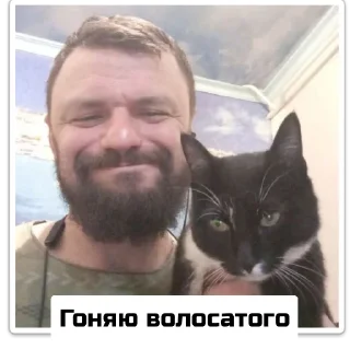 Sticker Чат приюта - 9