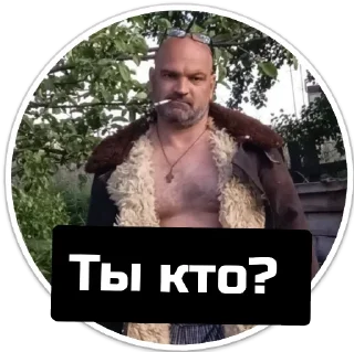 Sticker Чат приюта - 7