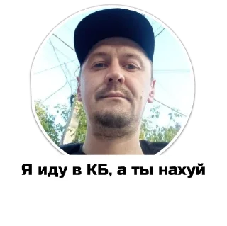 Sticker Чат приюта - 3