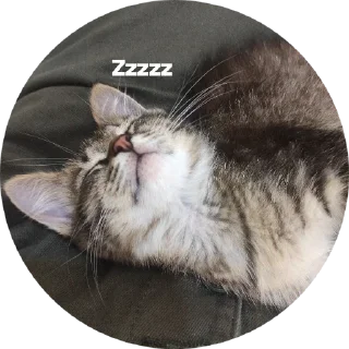 Стикер Малина - 10