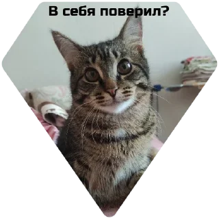 Стикер Малина - 7