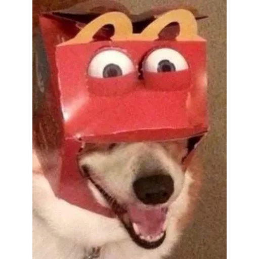 Что блин @PROveL_bot - 