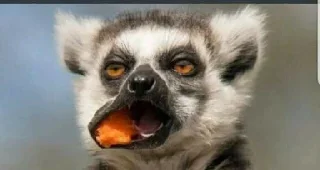 Sticker YourGreatness //Cheer Up, Kiev. You Alright//'s stella pack - 9