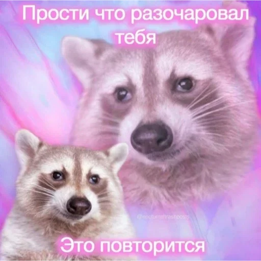 Стикер c552c753_9026_4364_b4f3_d6cf0afd383e_by_sticat_bot - 1