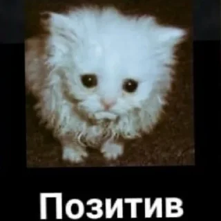 Стикер фрэндли файер - 4