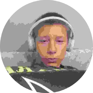 Sticker Kuropatka228 - 6