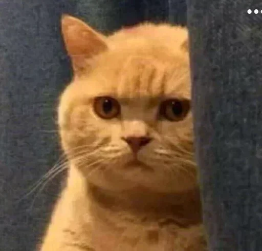 دٲێنؤＤＹＮＯヅs haruka pack - 