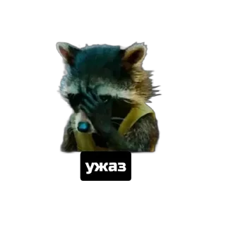 Sticker Енот - 0