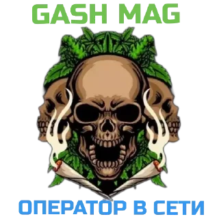 Sticker GASH MAG - 0