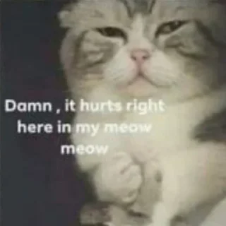 Стикер Ƭ០⩎ƴ នϦ♬Ʀᖰ's stella pack - 5