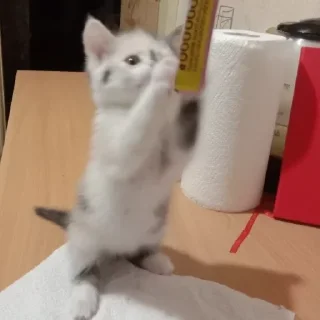 Стикер чуня потрошитель - 8