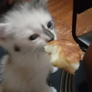 Стикер чуня потрошитель - 3