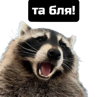 Стикер веселі єноти - 9