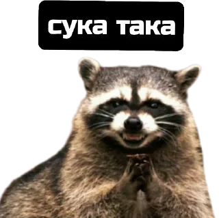 Стикер веселі єноти - 0