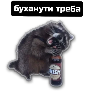 Стикер веселі єноти - 11