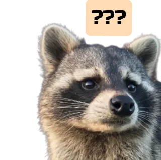 Стикер веселі єноти - 6