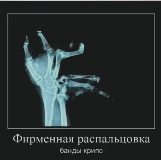 Sticker чечётка бегемота 2 - 10