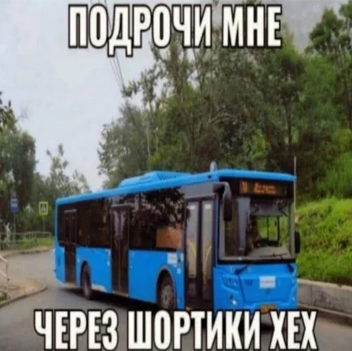 Sticker чечётка бегемота 2 - 2