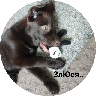Стикер милочка by @sticat_app - 3