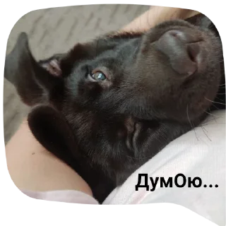 Стикер милочка by @sticat_app - 2