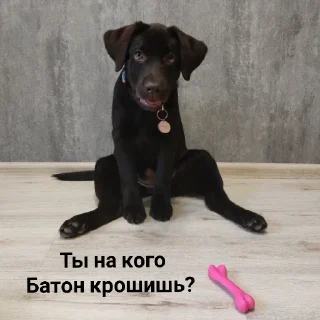 Стикер милочка by @sticat_app - 1