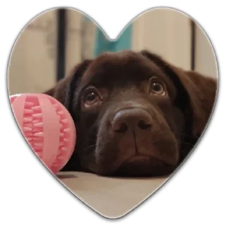 Стикер милочка by @sticat_app - 4