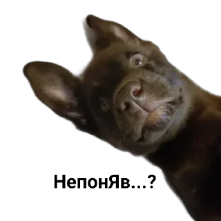 Стикер милочка by @sticat_app - 0