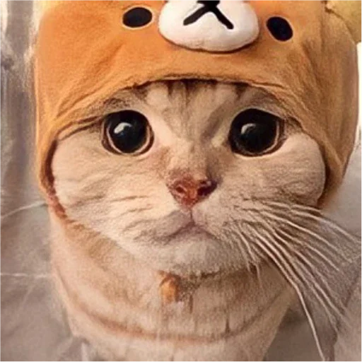 Стикер KoTiKi - 5