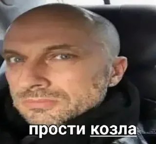 Стикер Больше стиков тут: @stikiin - 4