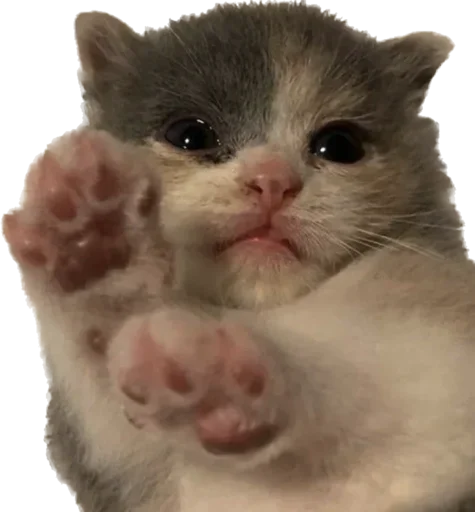 Больше стиков тут: @stikery4 - 