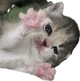 Стикер Больше стиков тут: @stikery4 - 4