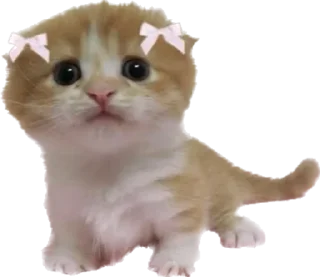 Стикер Больше стиков тут: @stikery4 - 2