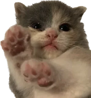 Стикер Больше стиков тут: @stikery4 - 5