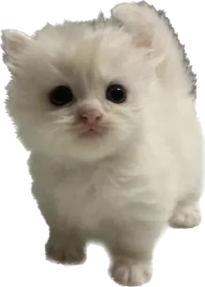 Стикер Больше стиков тут: @stikery4 - 9