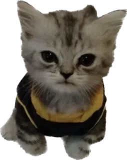 Стикер Больше стиков тут: @stikery4 - 8