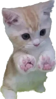 Стикер Больше стиков тут: @stikery4 - 7