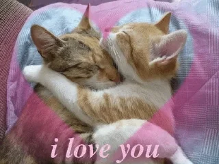 Sticker Создано в @sozdsti_bot - 3