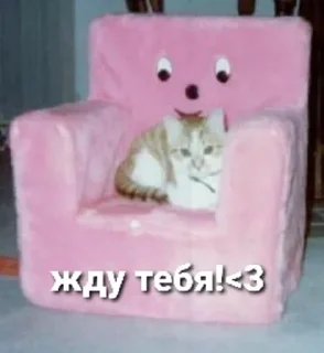 Sticker Создано в @sozdsti_bot - 11