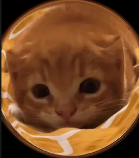 Sticker Крысок много не бывает (Created By: @StikerProBot) - 4