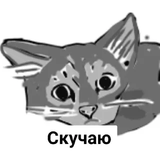 Sticker Крысок много не бывает (Created By: @StikerProBot) - 9