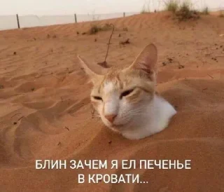 Стикер Больше стиков тут: @stikery4 - 1