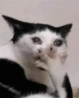 Sticker 💕Стики тут: @sekstick - 6